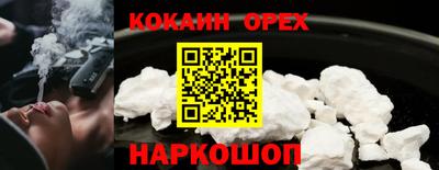 шишки Новозыбков