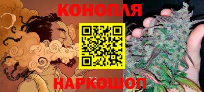 прущие грибы Новокубанск