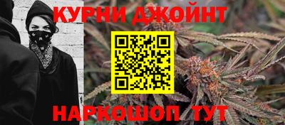 шишки Новозыбков