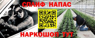 шишки Новозыбков
