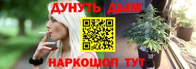 шишки Новозыбков