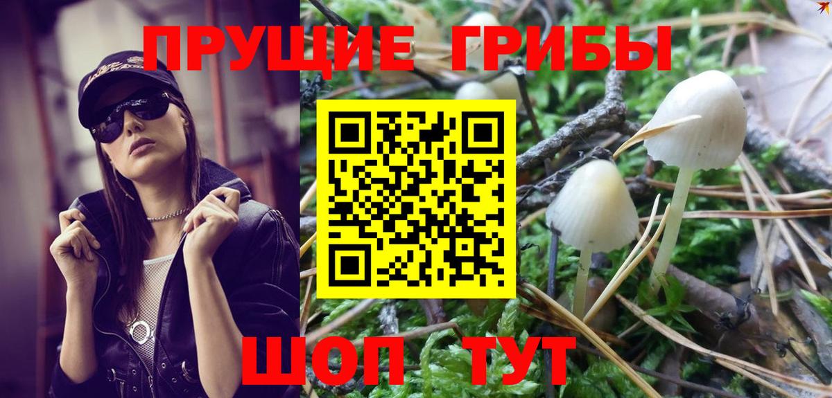 Псилоцибиновые грибы MAGIC MUSHROOMS Фролово