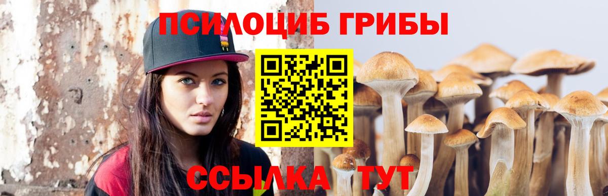 Псилоцибиновые грибы Psilocybine cubensis  Галлюциногенные грибы мухоморы  Вход с VPN  Фролово 
