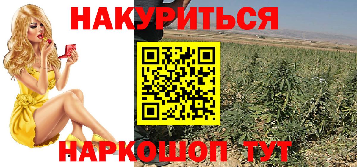Бошки марихуана план  Шишки марихуана Ganja  Вход с VPN  Фролово 